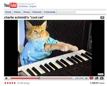 keyboard_cat