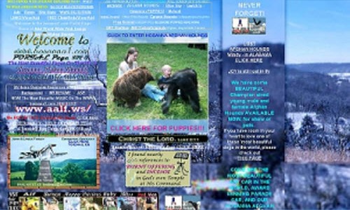 bad_website_2_500 bad_website_2_500